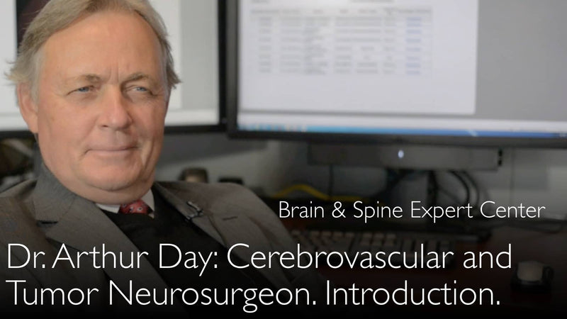 Dr. Arthur L. Dag. Hersentumor expert. Cerebrovasculaire neurochirurg. Biografie. 0