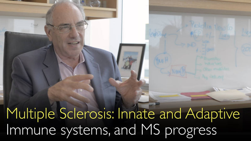 Multiple sclerose. Aangeboren en adaptieve immuunsystemen werken op elkaar in. 3