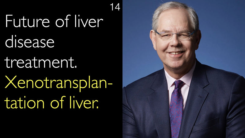 Future of liver disease treatment. Xenotransplantation of liver. 14